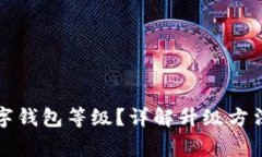 如何升級(jí)數(shù)字錢包等級(jí)？