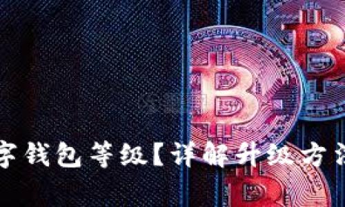 如何升級(jí)數(shù)字錢包等級(jí)？詳解升級(jí)方法與注意事項(xiàng)