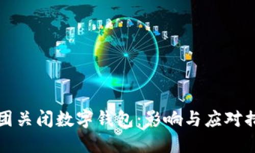 美團關(guān)閉數(shù)字錢包：影響與應對措施