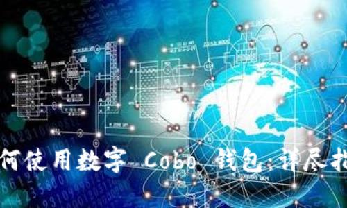 如何使用數(shù)字 Cobo 錢(qián)包：詳盡指南