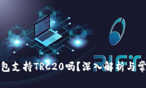 小狐錢(qián)包支持TRC20嗎？深入解析與常見(jiàn)問(wèn)題
