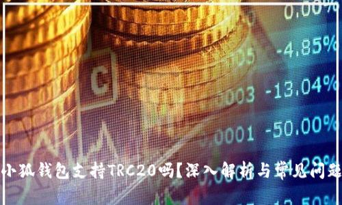 小狐錢(qián)包支持TRC20嗎？深入解析與常見(jiàn)問(wèn)題