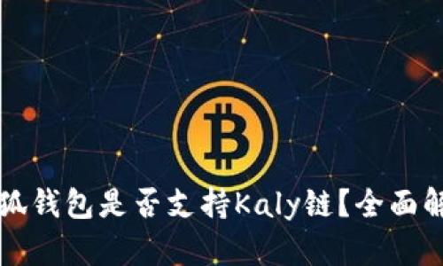 小狐錢包是否支持Kaly鏈？全面解析