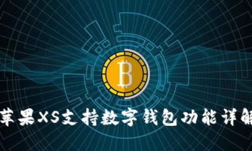 蘋果XS支持數(shù)字錢包功能詳解
