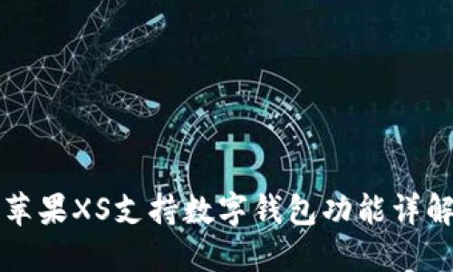 蘋果XS支持數(shù)字錢包功能詳解