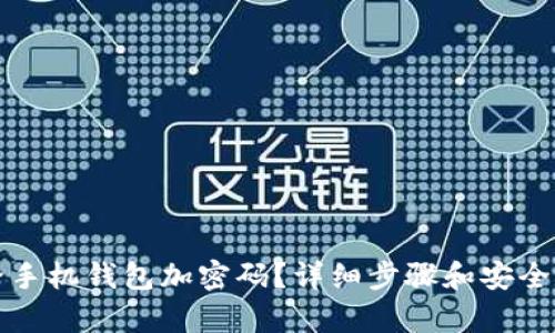 如何給手機(jī)錢包加密碼？詳細(xì)步驟和安全性分析