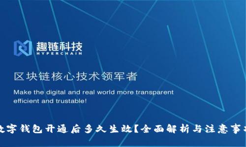 數(shù)字錢包開通后多久生效？全面解析與注意事項(xiàng)