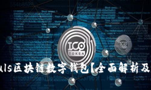 什么是Puls區(qū)塊鏈數(shù)字錢包？全面解析及應(yīng)用前景