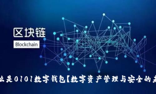 什么是0101數(shù)字錢包？數(shù)字資產(chǎn)管理與安全的未來