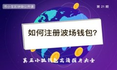 真正小狐錢(qián)包高清圖片大