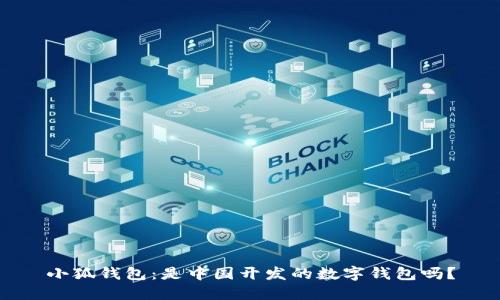 小狐錢包：是中國開發(fā)的數(shù)字錢包嗎？