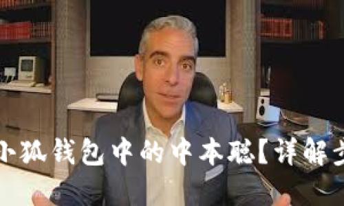 如何找回小狐錢包中的中本聰？詳解步驟與技巧