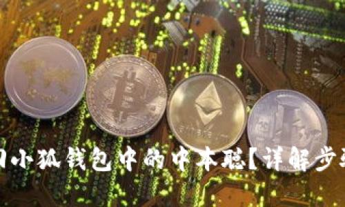 如何找回小狐錢包中的中本聰？詳解步驟與技巧