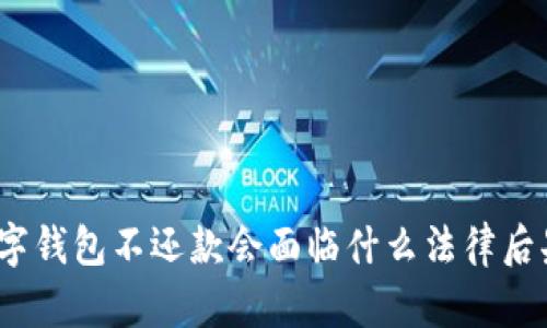 數(shù)字錢包不還款會面臨什么法律后果？