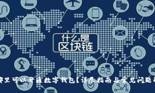 在哪里可以開(kāi)通數(shù)字錢包？詳盡指南與常見(jiàn)問(wèn)題解答