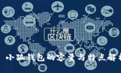 : 小狐錢(qián)包的容量與特點(diǎn)解