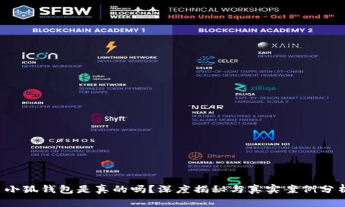  小狐錢包是真的嗎？深度揭秘與真實案例分析