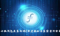  小狐錢包是真的嗎？深度