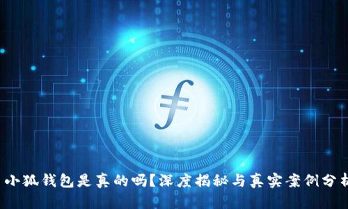  小狐錢包是真的嗎？深度揭秘與真實案例分析