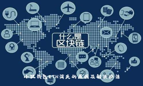 小狐錢包ETH消失的原因及解決辦法