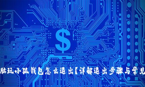 : 電腦玩小狐錢包怎么退出？詳解退出步驟與常見問題