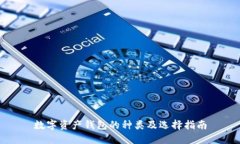 數(shù)字資產(chǎn)錢包的種類及選擇指南