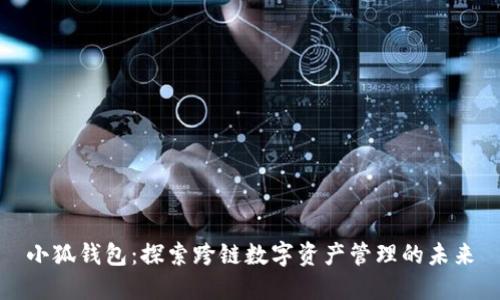 小狐錢包：探索跨鏈數(shù)字資產(chǎn)管理的未來(lái)