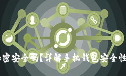 手機錢包加密安全嗎？詳解手機錢包安全性的方方面面