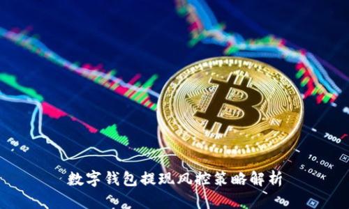 數(shù)字錢包提現(xiàn)風(fēng)控策略解析