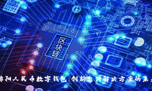 綿陽人民幣數(shù)字錢包：創(chuàng)新支付解決方案的未來