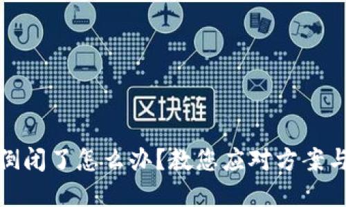 小狐錢包倒閉了怎么辦？教您應(yīng)對方案與投資建議