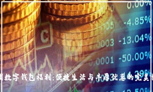 美團數(shù)字錢包福利：便捷生活與豐厚優(yōu)惠的完美結(jié)合