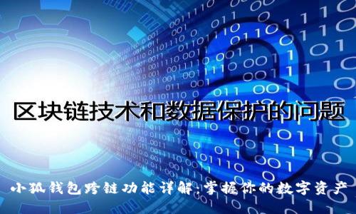 小狐錢包跨鏈功能詳解：掌握你的數(shù)字資產(chǎn)