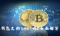 MetaMask錢包支持USDT嗎？全面解答與使用指南