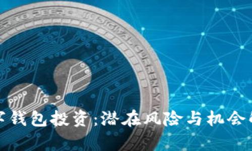 數(shù)字錢包投資:潛在風(fēng)險(xiǎn)與機(jī)會(huì)解析