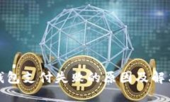 數(shù)字錢包支付失敗的原因及解決方案
