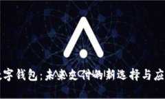 dcep數(shù)字錢包：未來支付的新選擇與應(yīng)用場景