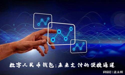 數字人民幣錢包:未來支付的便捷通道