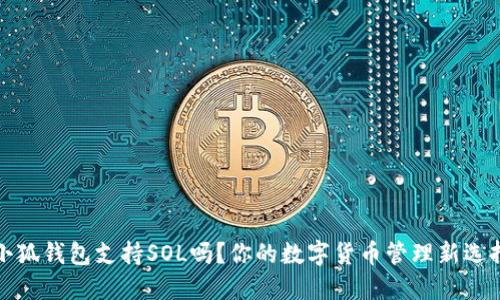 小狐錢包支持SOL嗎？你的數(shù)字貨幣管理新選擇