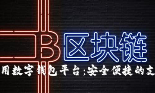 國內(nèi)常用數(shù)字錢包平臺:安全便捷的支付選擇