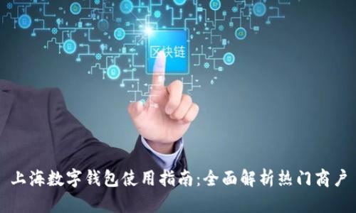 上海數(shù)字錢包使用指南:全面解析熱門商戶