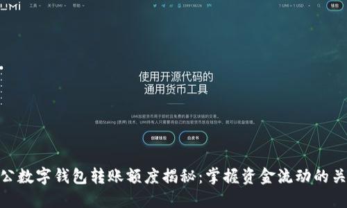 對公數(shù)字錢包轉(zhuǎn)賬額度揭秘:掌握資金流動的關(guān)鍵