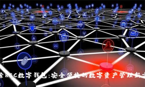 探索REC數(shù)字錢(qián)包:安全便捷的數(shù)字資產(chǎn)管理新方式