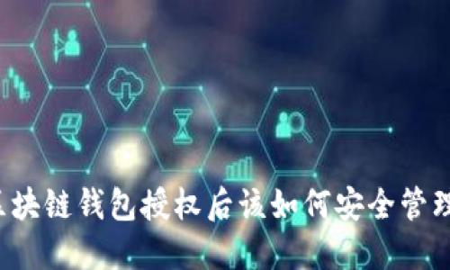 區(qū)塊鏈錢包授權(quán)后該如何安全管理？