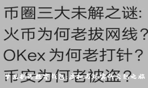 夢見挑選數(shù)字錢包:虛擬與現(xiàn)實的交織之旅
