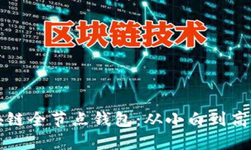 如何搭建區(qū)塊鏈全節(jié)點(diǎn)錢包:從小白到高手的全面指南