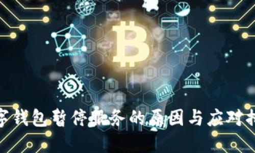 數(shù)字錢包暫停服務的原因與應對措施