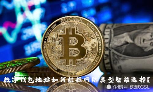 數(shù)字錢包地址如何根據(jù)網(wǎng)絡(luò)類型智能選擇?