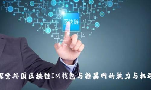 探索外國區(qū)塊鏈IM錢包與糖果網(wǎng)的魅力與機(jī)遇