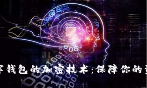 揭秘數(shù)字錢包的加密技術(shù):保障你的資產(chǎn)安全